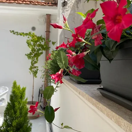 Le Dimore Di * Nettuno